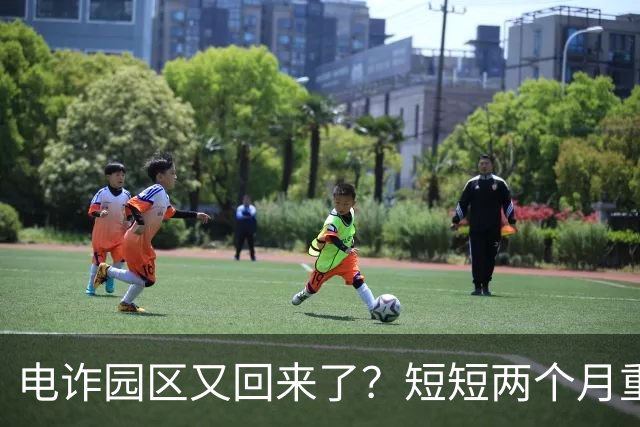 电诈园区又回来了？短短两个月重建3大园区，背后势力不容小觑