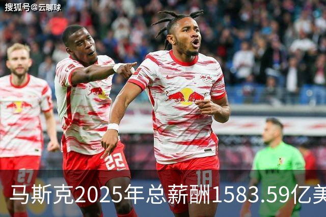 马斯克2025年总薪酬1583.59亿美元 全部以股票奖励形式发放